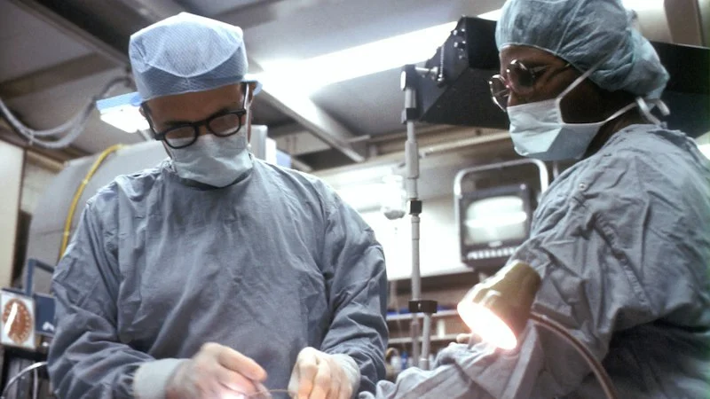 BSc in Biomedical Science Studies (Non-Clinical Laboratory Sciences) Thumbnail